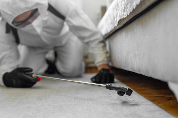 Professional Bed Bug Control technician working in North Hills, NY