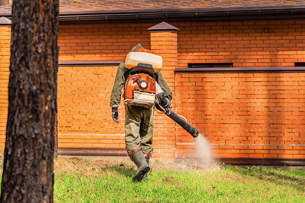 Trusted Cockroach Control service in North Hills, NY - Nex Pest Control
